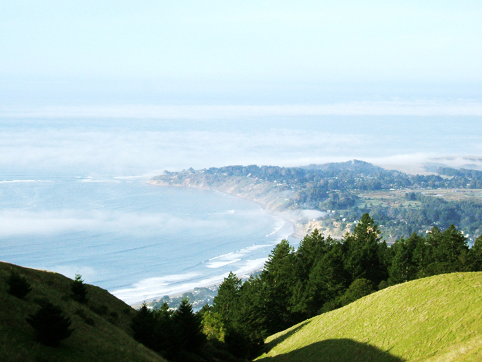 marin hills